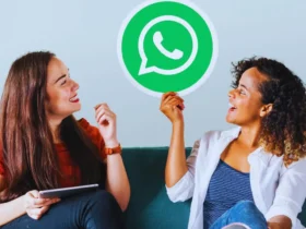 WhatsApp Business by fideleturf.blog