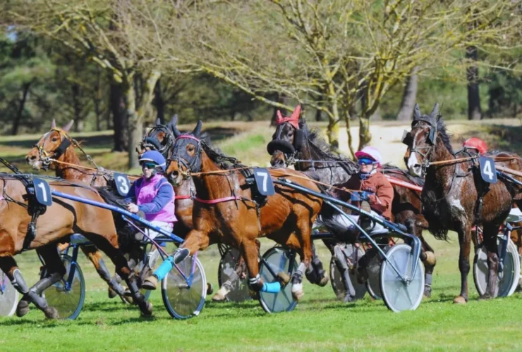 fideleturf du jour pronostic by Fideleturf.blog