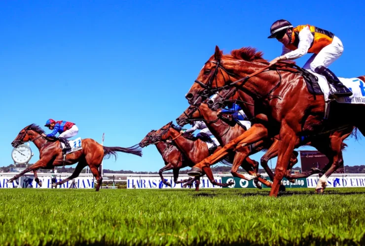 fideleturf gagnants gratuit mestocards by fideleturf.blog