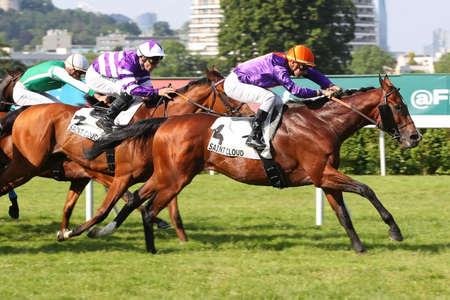 Fideleturf