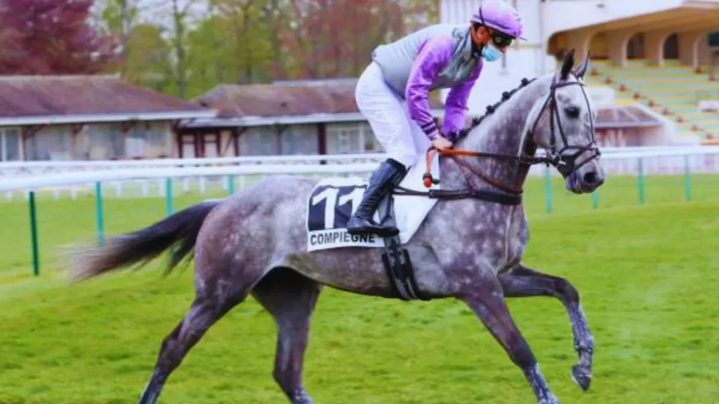 Messiturf gagnant