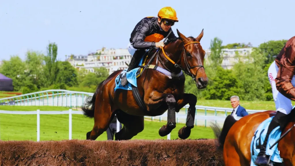 turfgagnant 2