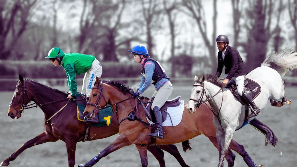 turfgagnant 2 by Fideleturf.blog